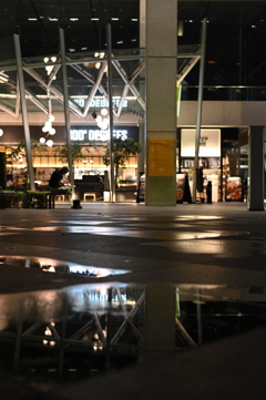 雨上がりの広場