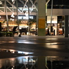 雨上がりの広場