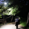 家路