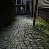 緑映える小径