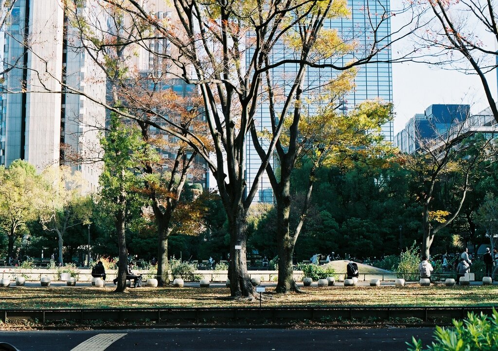 昼下がりの公園