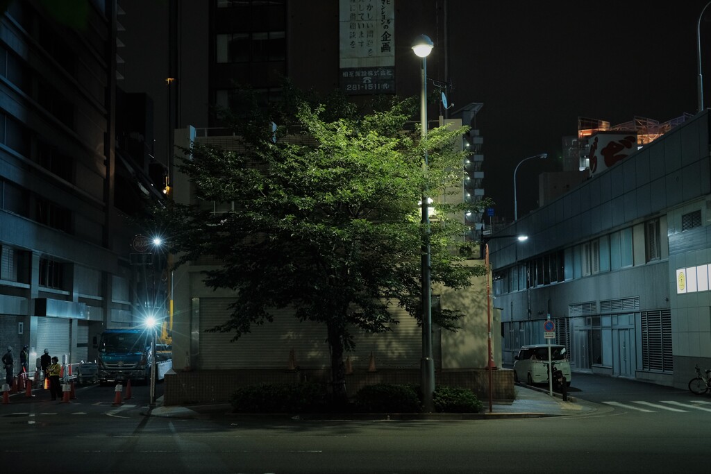 一本の緑