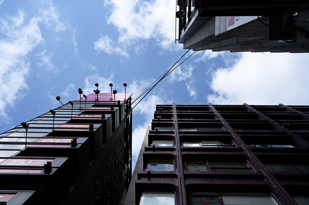 新宿で見る空