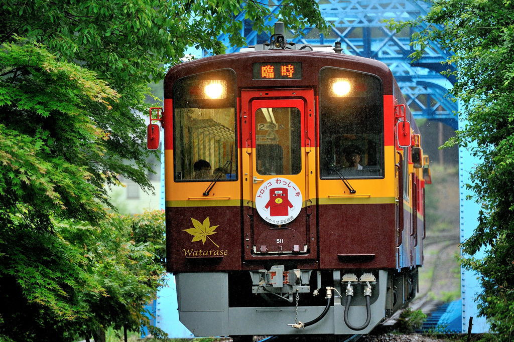 わっし～Go！Go!