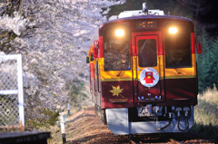 さくら咲く