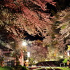 夜風のざわめき
