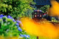Colorful Station