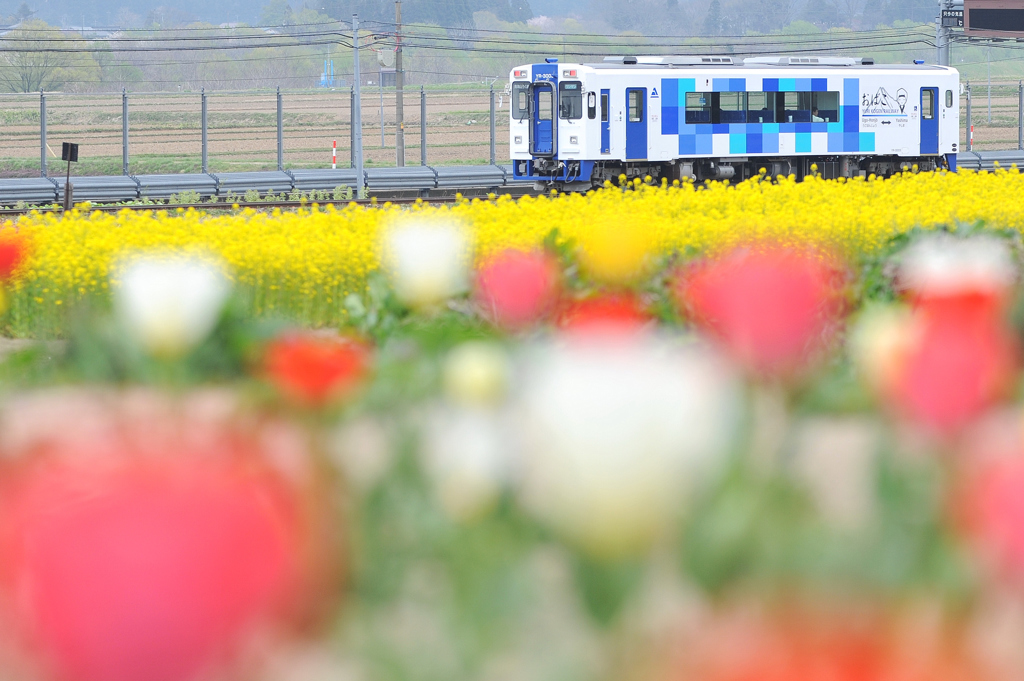 花に囲まれて