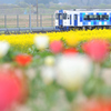 花に囲まれて