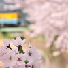 やさしい色