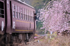 一陣の、、ええっ！！