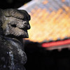 冬の光