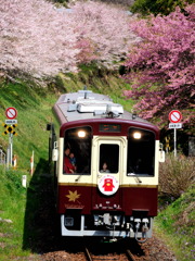 春よ来い！