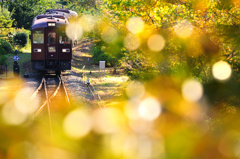 秋へ向かう列車