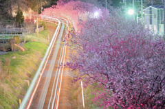 夜の鉄道風景