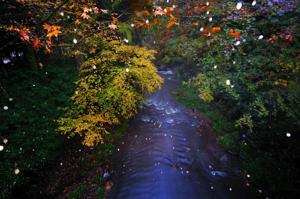 もみじ谷の水音