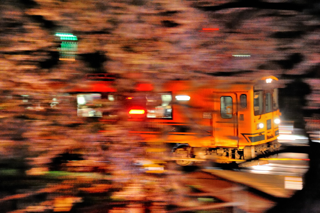 必撮！夜桜流し