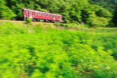 新緑を駆ける