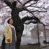 今年も桜が咲きました