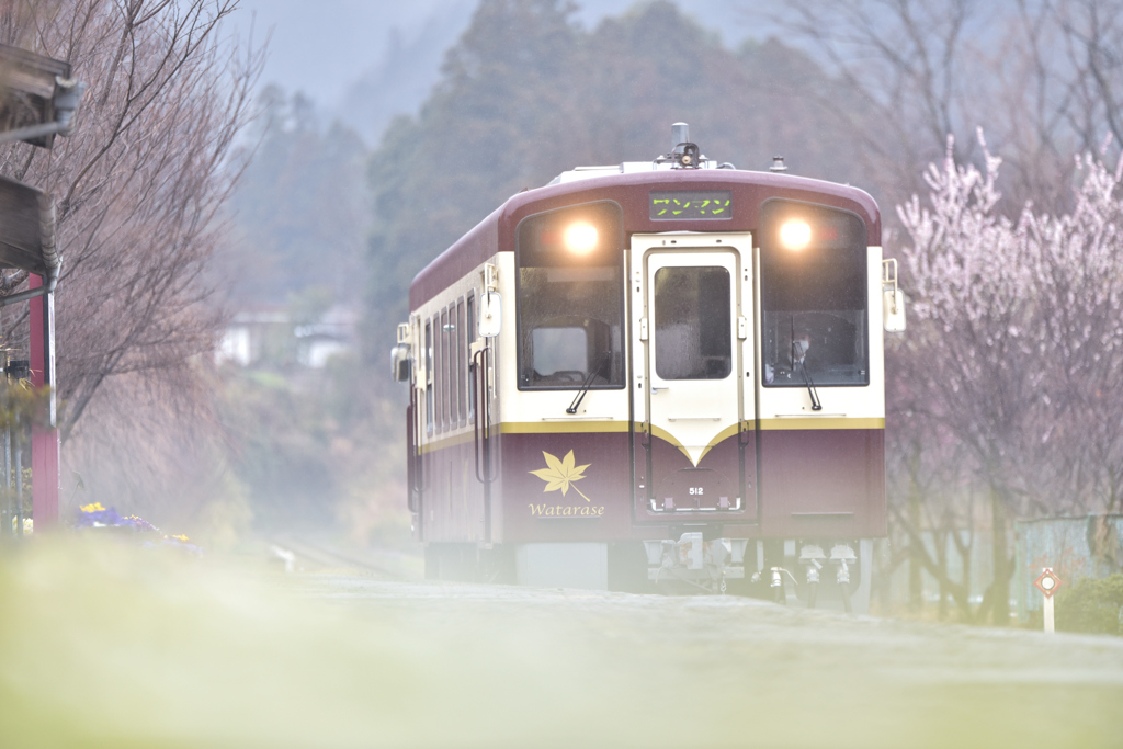 優しい雨