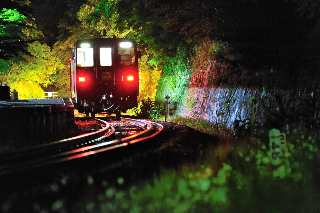 Night colors