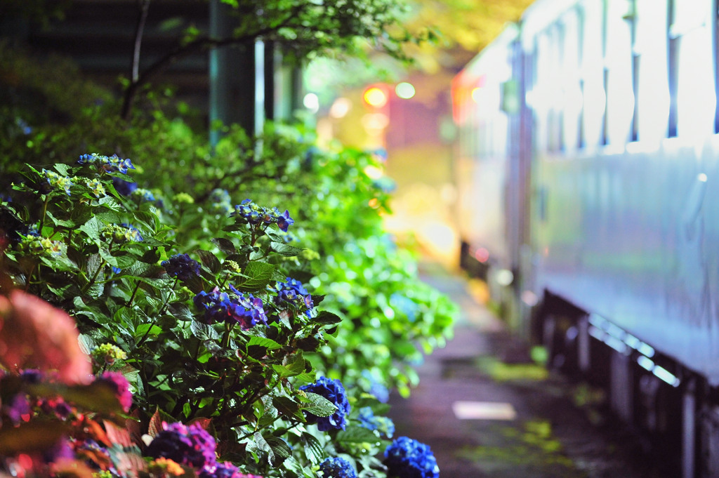 花と光の駅