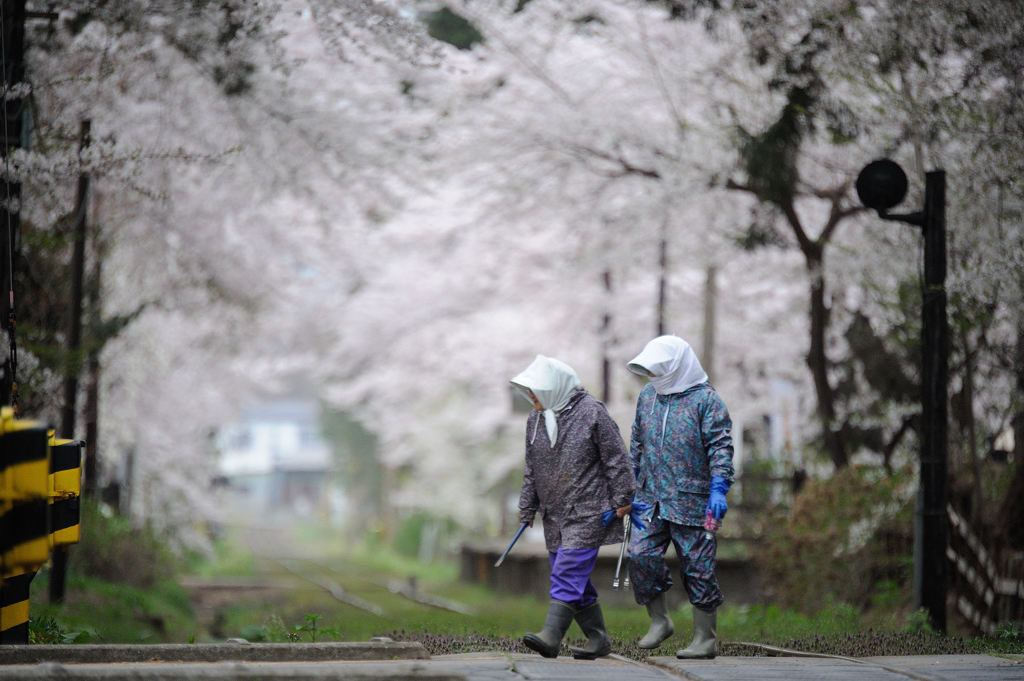 津軽のかっちゃ