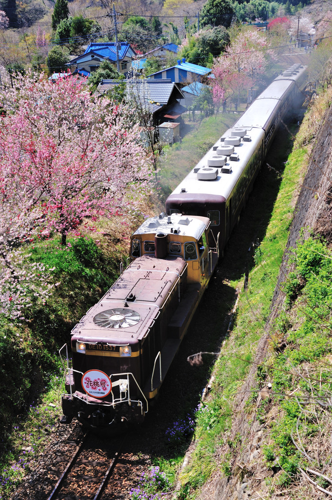 トロッコ列車の旅～乗り鉄編