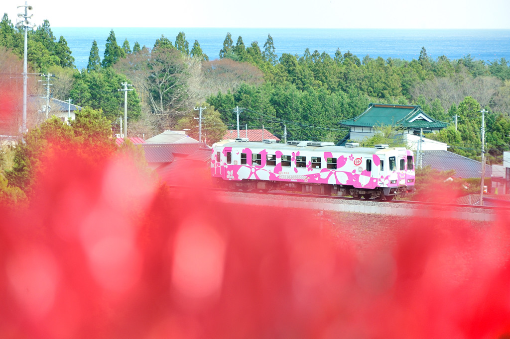レッドカーペット