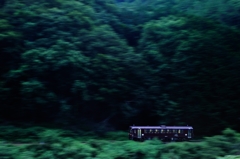 光を求めて