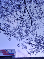 花待ち人
