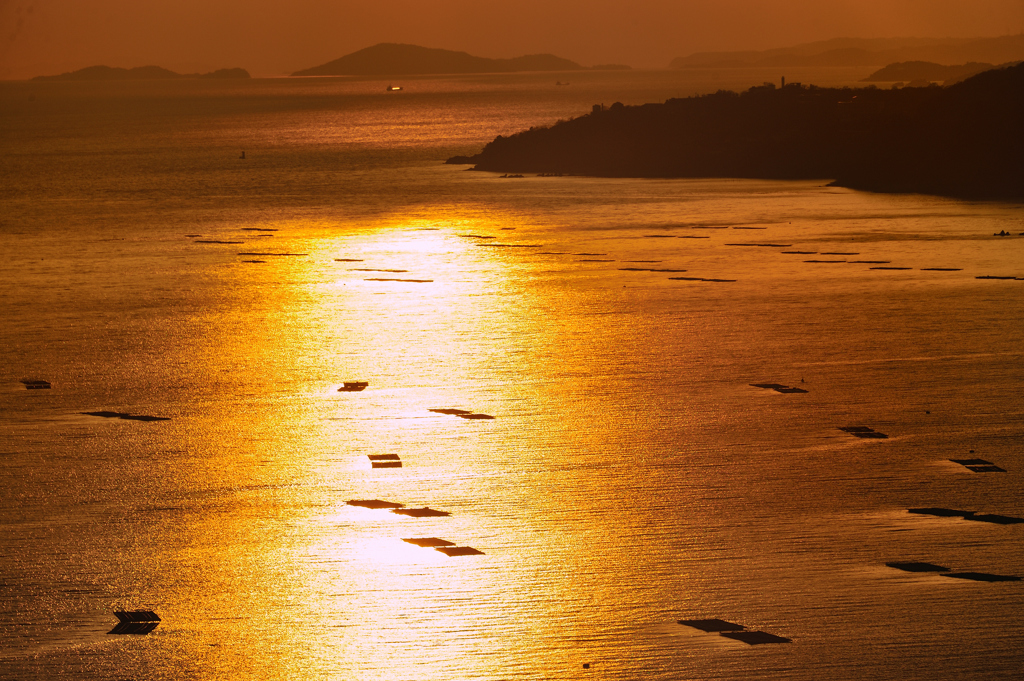 故郷の海
