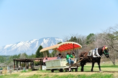 鉄道馬車の記憶