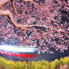 桜の夜に思ふこと