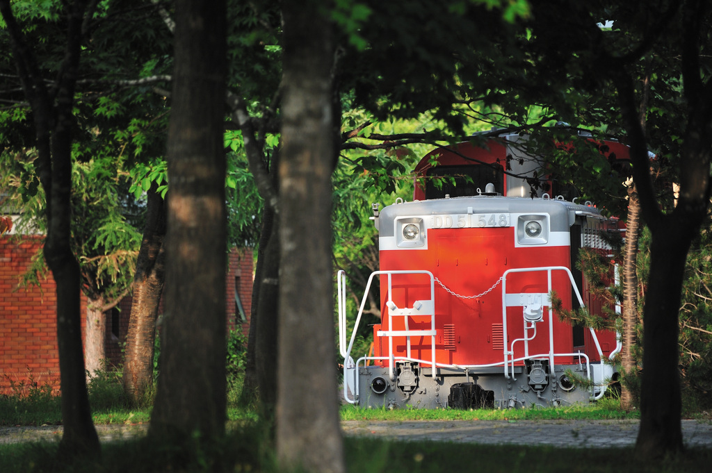 DD51の安息