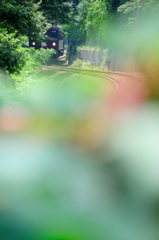 かくれんぼ