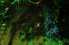 夜風 un-deux-trois