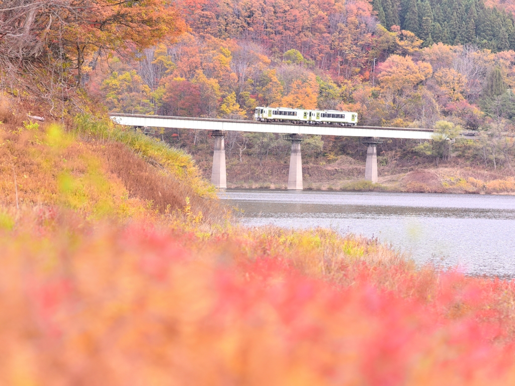 秋色の旅