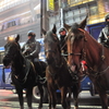 騎馬警官