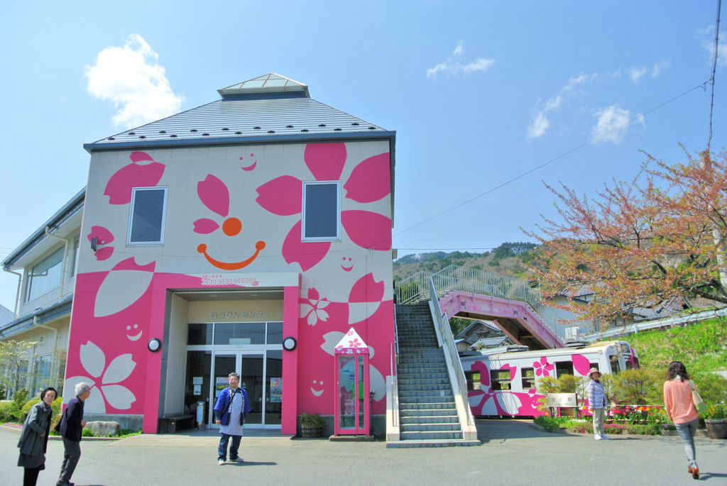 桜が咲いたよ！