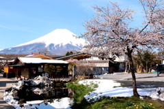 富士と桜