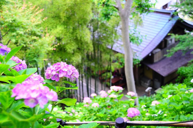 長谷寺
