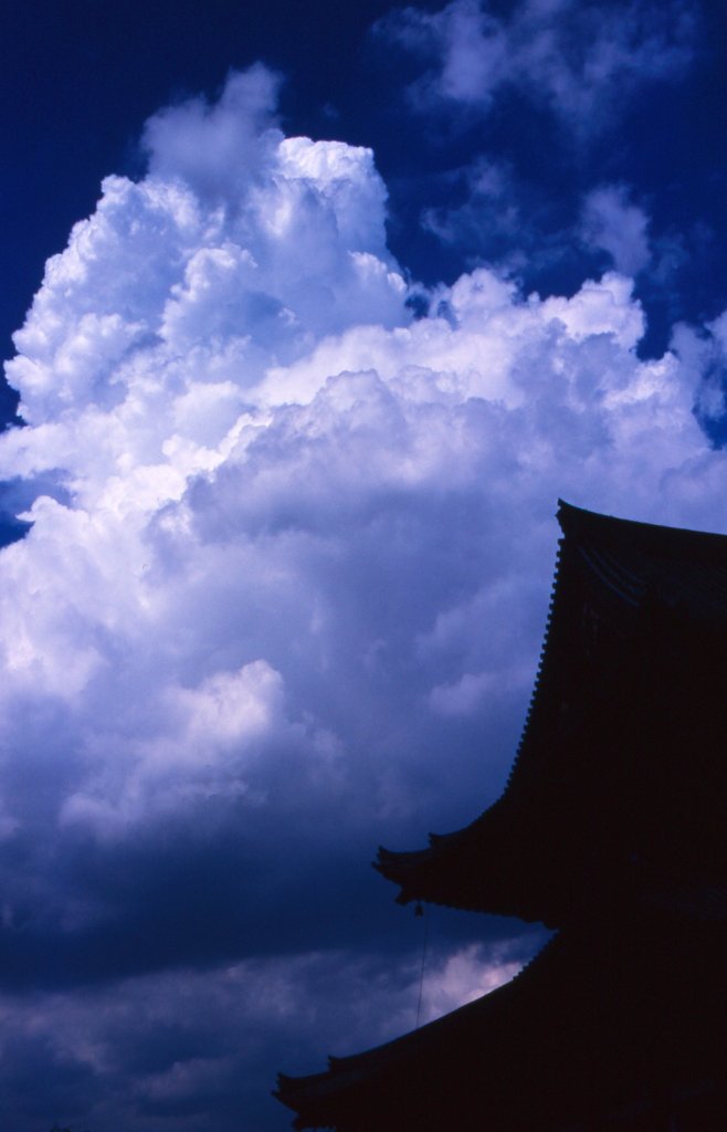 夏の空