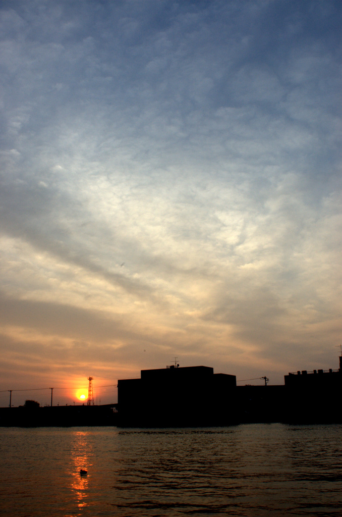 DSC_4036