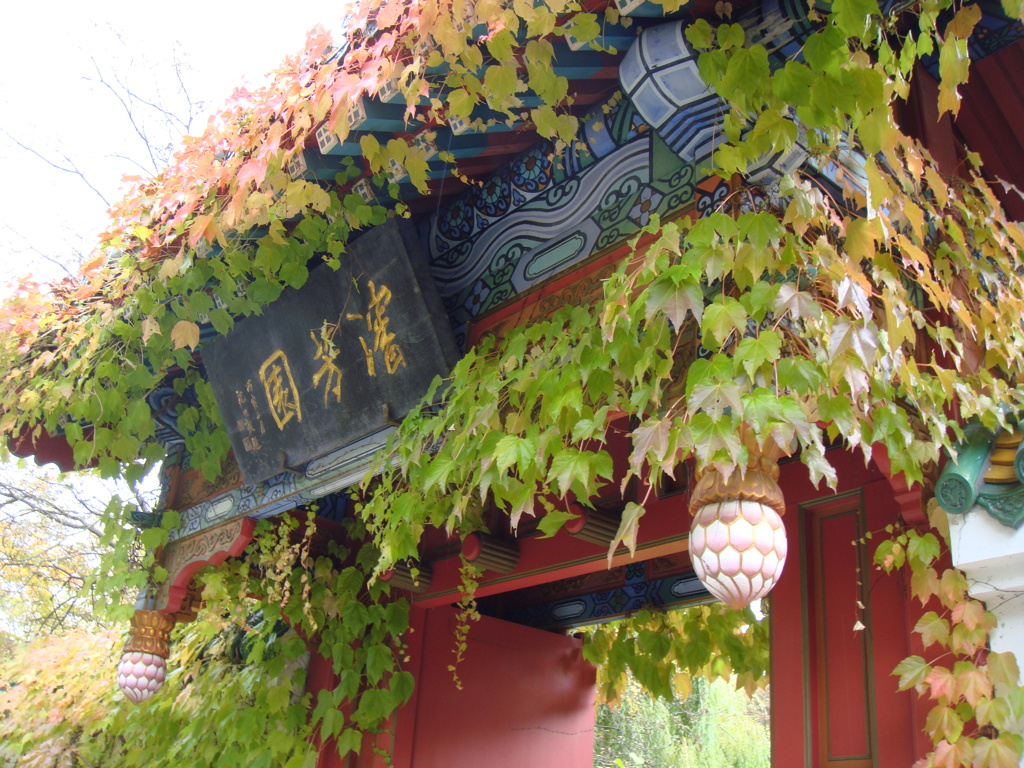 中国風の庭園