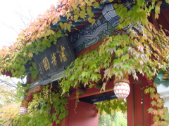 中国風の庭園
