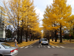 黄金街道