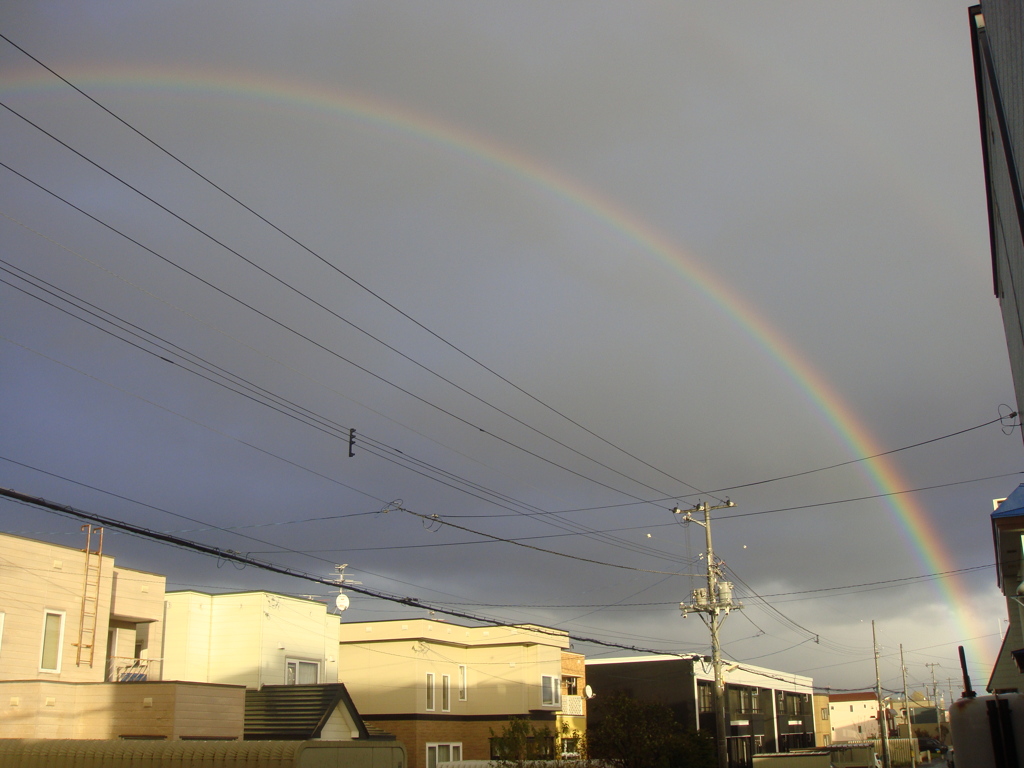 夢の架け橋