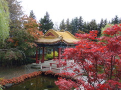 中国風庭園の中