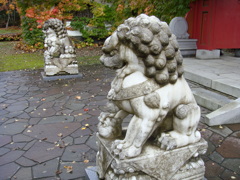 DSC00743